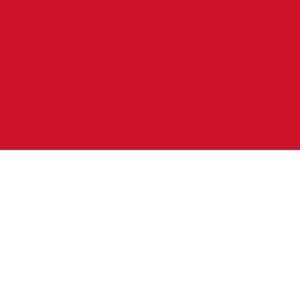 Indonesia Visa Application Help